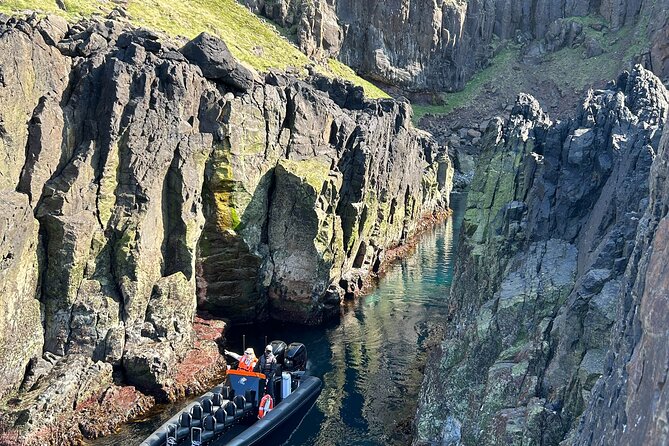 1 Hour Iceland Nature and Wildlife RIB Small Group Guided Safari - Why this short East Iceland safari is worth considering