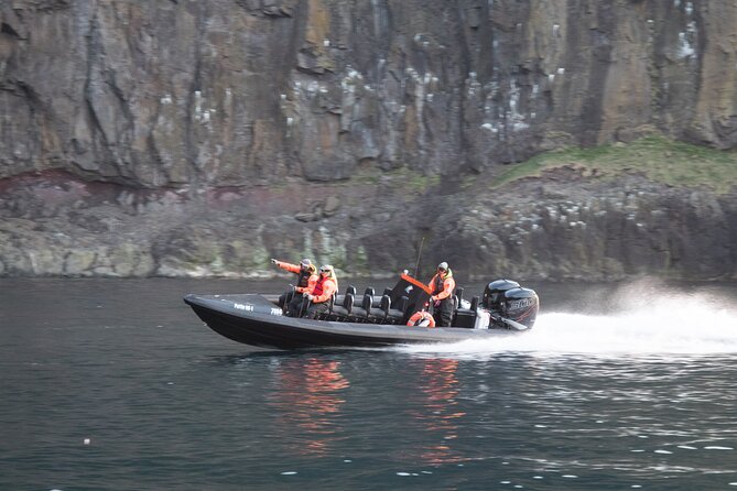 1 Hour Iceland Nature and Wildlife RIB Small Group Guided Safari - How the one-hour timing affects value