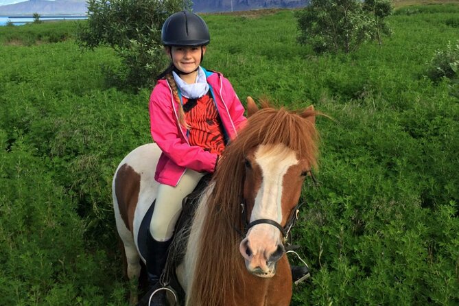 1+ hour Private Horse riding tour from Reykjavík/Mosfellsbær - Riding around Mt. Úlfarsfell