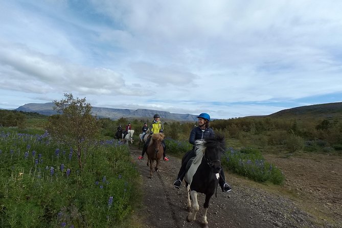 1+ hour Private Horse riding tour from Reykjavík/Mosfellsbær - Preparing your horse before the trail