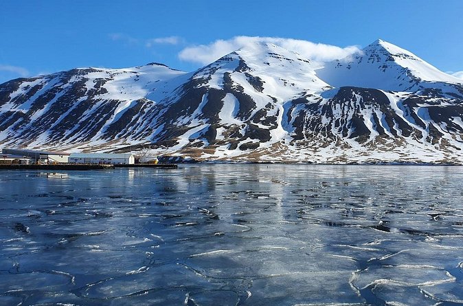 1-Hour Siglufjörður Stroll - Who will enjoy this hour most