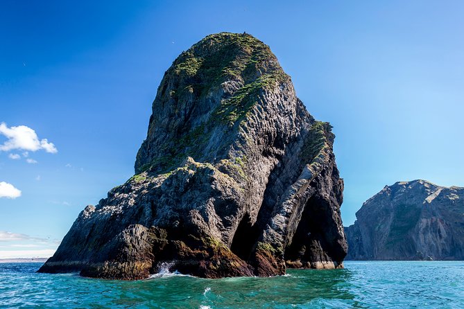 1-Hour Small Group Sightseeing Boat Tour in Vestmannaeyjar - Puffins and seabirds: keep your eyes moving