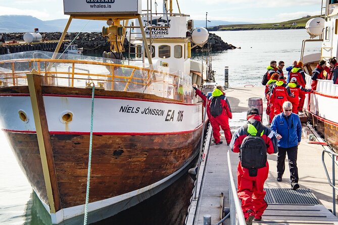 100% Whale Watching - Boarding a traditional oak fishing boat