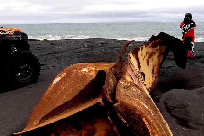 2-Hour Black Sand Beach Buggy Tour from Hella - The guide, stories, and unexpected stops