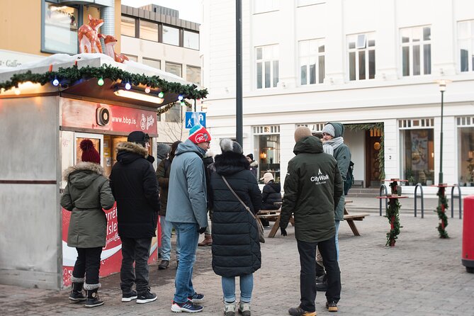 2-Hour Reykjavik Private Walking Tour - Starting at your own downtown address