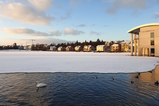 2-Hour Reykjavik Private Walking Tour - Parliament, Dómkirkjan, and the oldest public garden