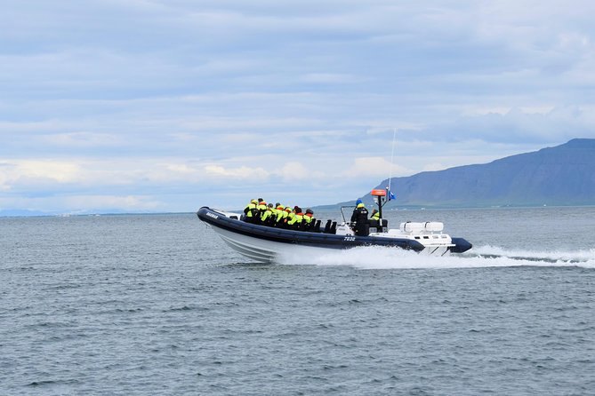 2-Hour RIB Boat Whale Watching Tour from Reykjavik - Comfort, safety, and the cold
