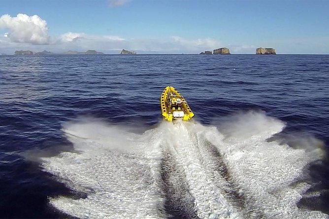 2 hour Round Trip in Vestmannaeyjar on a RIB Boat - Five reasons this boat trip is worth considering