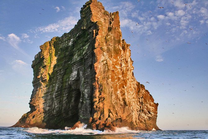 2 hour Round Trip in Vestmannaeyjar on a RIB Boat - Meeting the boat at Tangagata 7