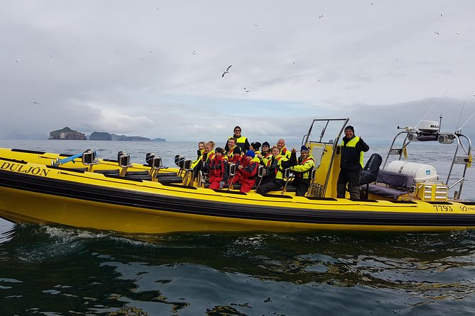 2 hour Round Trip in Vestmannaeyjar on a RIB Boat - Sea caves, Elephant Rock, and cliff views