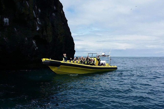 2 hour Round Trip in Vestmannaeyjar on a RIB Boat - Warm clothing helps, but the sea still feels cold