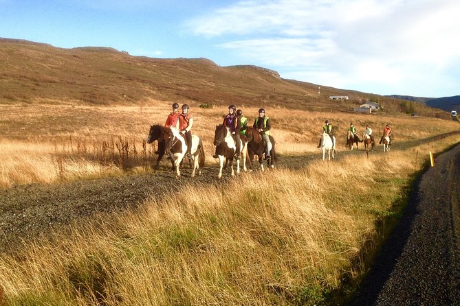 2 hours Private Horse Riding to Lake Hafravatn, Reykjavík - Mos - The Guides and the Personal Touch