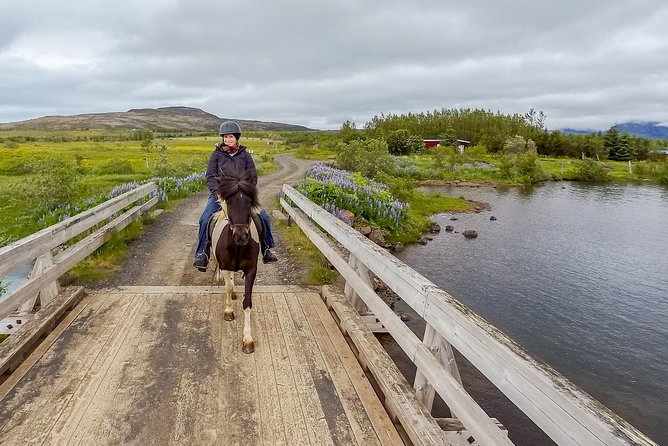 2 hours Private Horse Riding to Lake Hafravatn, Reykjavík - Mos - What to Wear and Bring