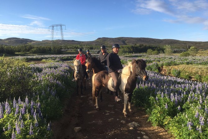 2 hours Private Horse Riding to Lake Hafravatn, Reykjavík - Mos - Two Hours Toward Lake Hafravatn