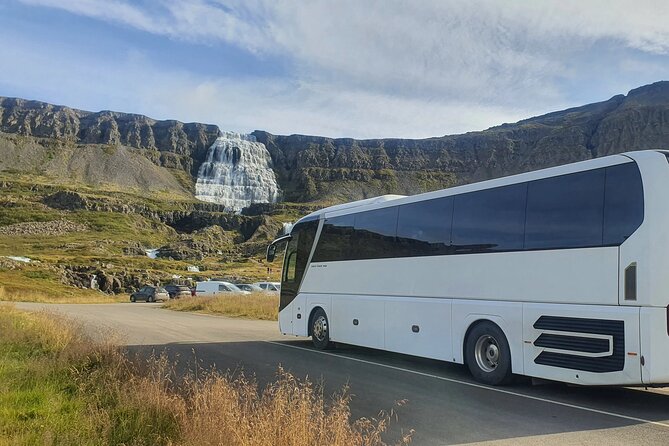 3,5-Hour Sightseeing Tour To Dynjandi Waterfall - Who will enjoy this Dynjandi tour?