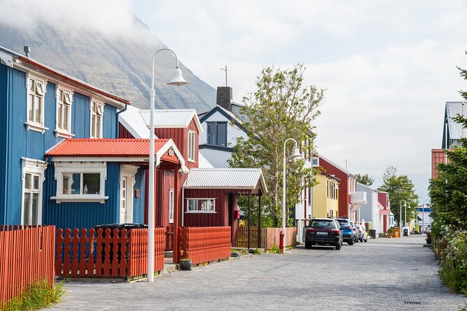 3-Day Wild and Wonderful Tour of Westfjords - Small Group Tour - The guide makes the long roads worthwhile