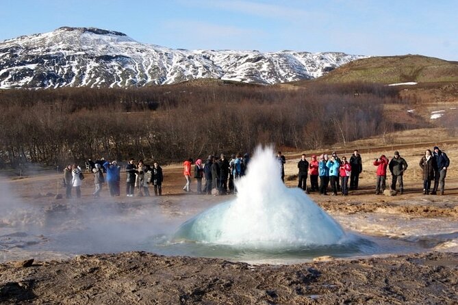 5-Days Land of Northern Lights Tour from Reykjavík - Day 4: horses, hot springs, and the Golden Circle