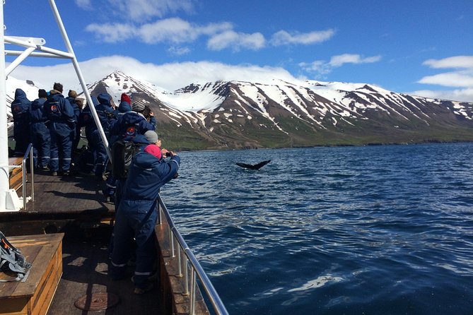 7-Day Complete Iceland: South Coast, Golden Circle, Akureyri & Snaefellsnes - Day 4: Mývatn’s geothermal sights and basalt country