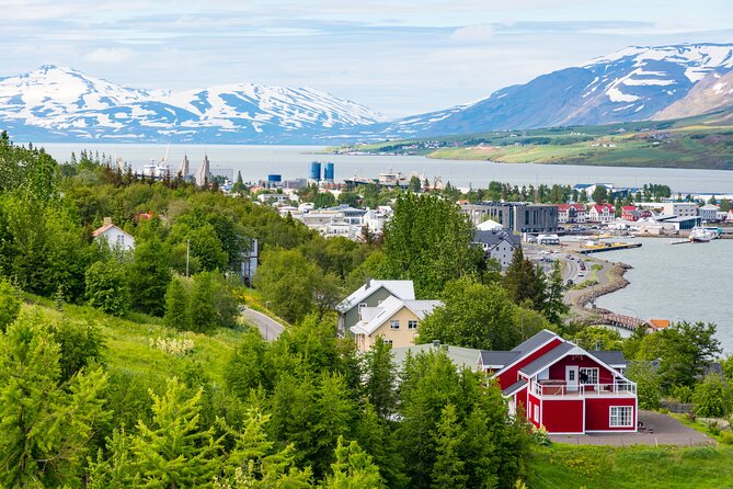 7-Day Small Group Journey Around Iceland - Day 4: The Eastfjords and the road to Höfn
