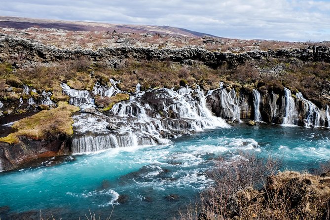 8-Day Small Group Tour Around Iceland from Reykjavik - Day 4: East Fjords, horses, and hot water