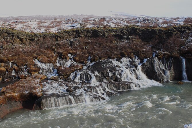 8 Day Winter Circle Tour, Ring Route of Iceland with Snæfellsnes Peninsula - Day 4: East Fjords and an Icelandic farm