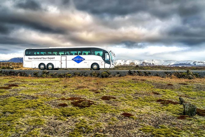Airport Express Shared Departure Transfer from Reykjavik Hotels to Keflavik Airport - Pickup points and the 30-minute rule
