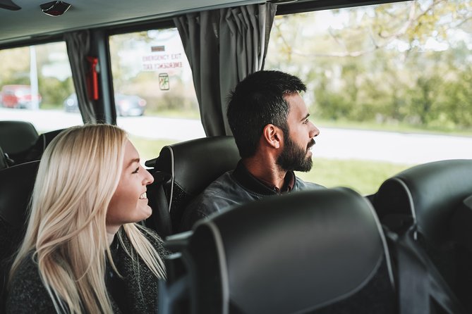 Airport Transfer in Iceland from Reykjavik City to Keflavik Airport with Hotel Pick Up - The Reykjavik pickup: hotel door or designated stop