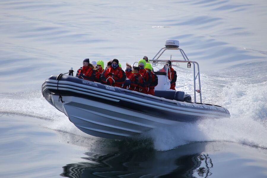Akureyri: 2-Hour Whale Watching Express by RIB Speedboat - Finding whales across Eyjafjord
