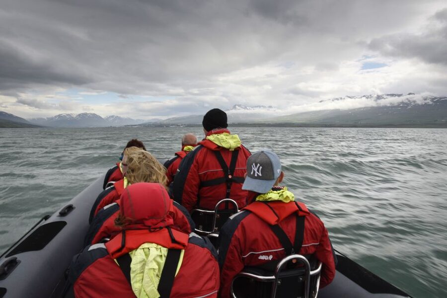 Akureyri: 2-Hour Whale Watching Express by RIB Speedboat - Comfort, safety, and the real physical demands