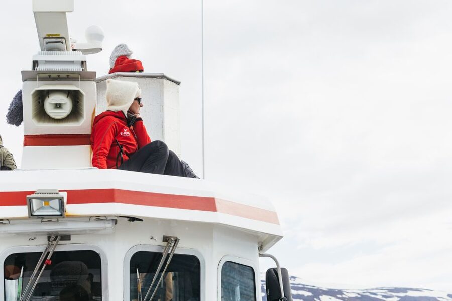Akureyri: 3-Hour Classic Whale Watching Tour by Ship - Respectful whale watching, not a chase
