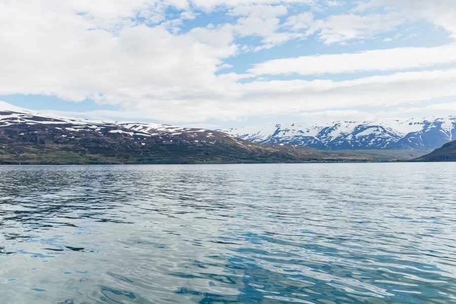 Akureyri: 3-Hour Classic Whale Watching Tour by Ship - Staying warm during a three-hour boat trip