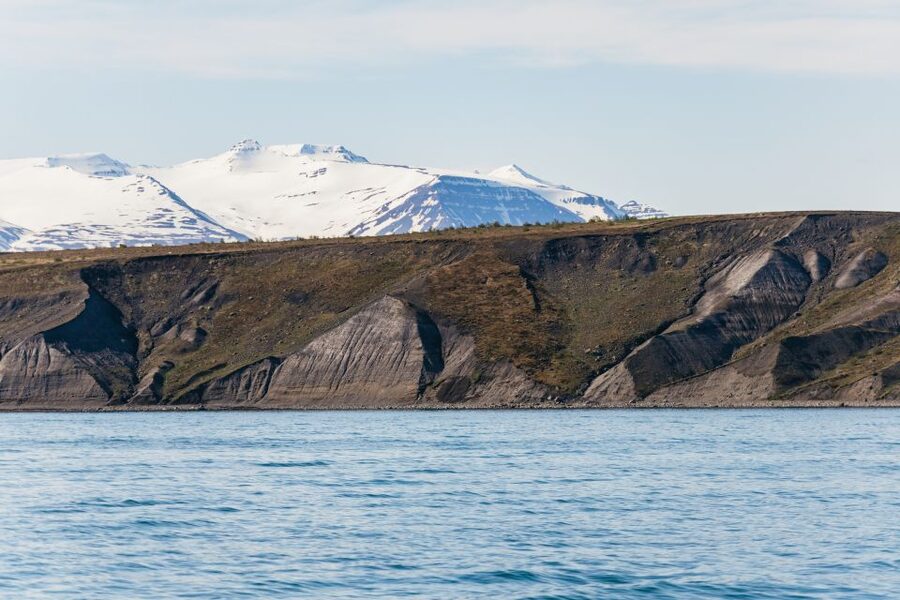 Akureyri: 3-Hour Classic Whale Watching Tour by Ship - Photos, Wi-Fi, and the practical comforts