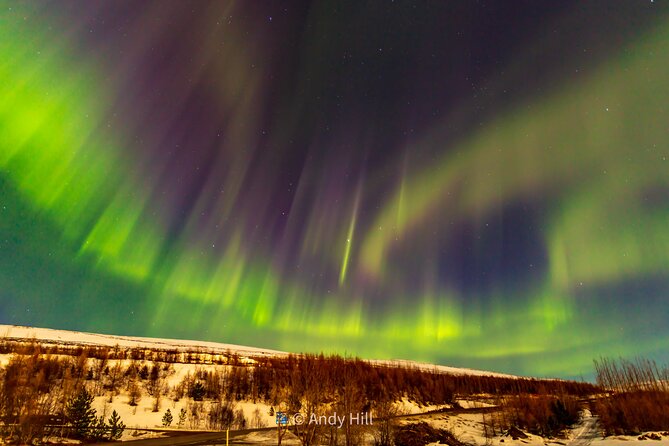 Akureyri Northern Light Tour - What the guides add to the night