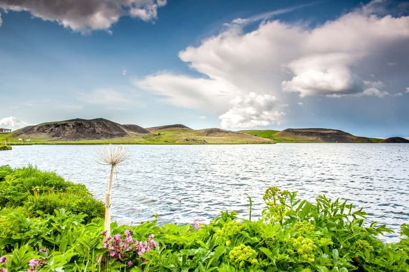 Akureyri Port: Lake Mývatn & Goðafoss Guided Tour with Lunch - Five things to know before you go