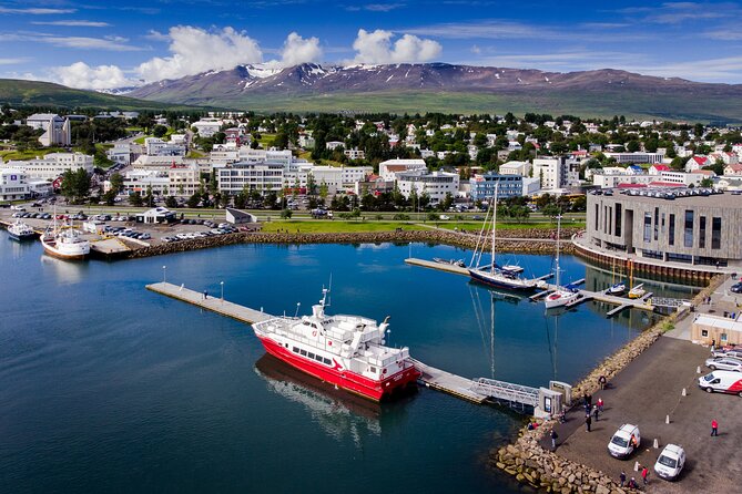 Akureyri - Private Airport Transfer - Accessibility, animals, and participation