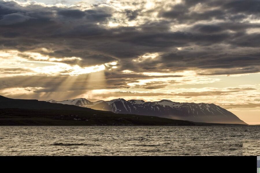 Akureyri: Whale Watching in the Midnight Sun - Is $101 a fair price?