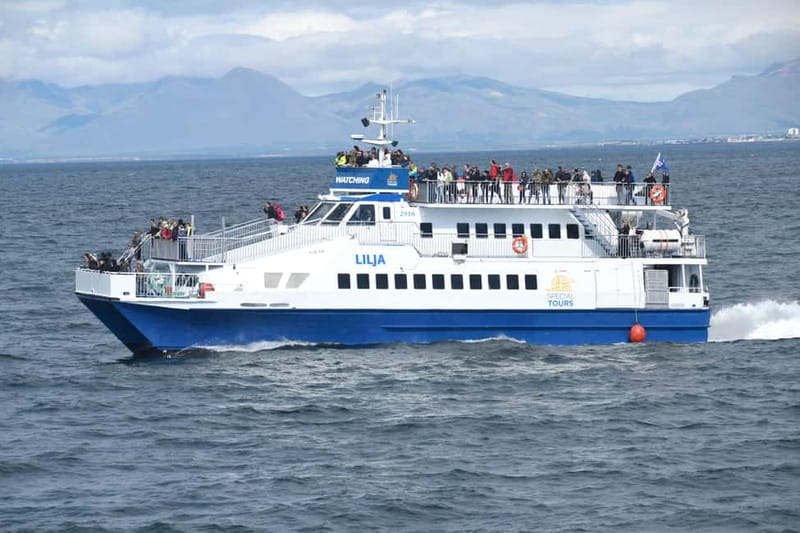 Akureyri: Whale Watching Shore Excursions - What the guides add to the cruise