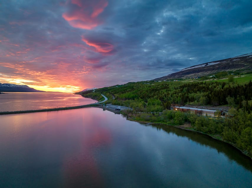Akureyri: Whale Watching Tour & Forest Lagoon Entrance - How the timing affects your day