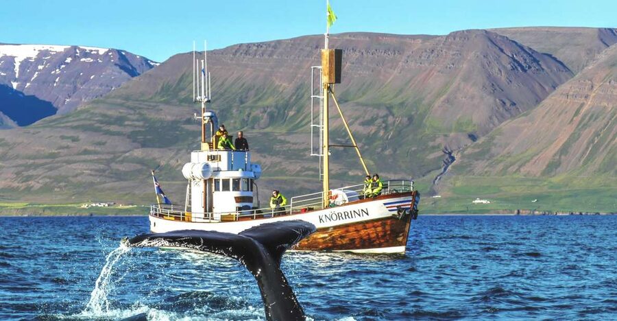 Árskógssandur: Whale-Watching Boat Trip - Setting out on the traditional oak boat