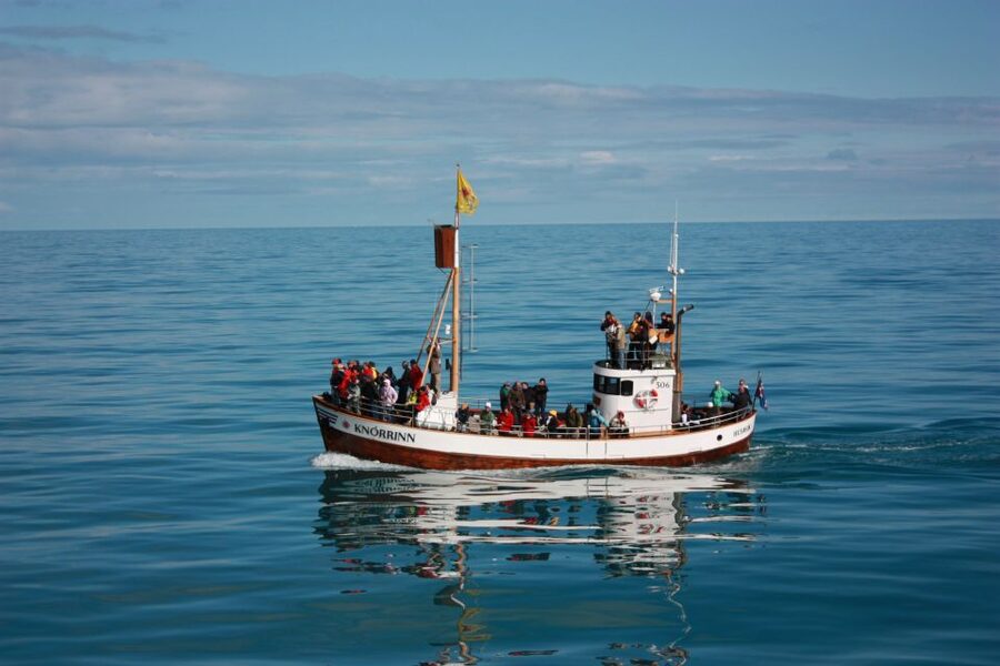 Árskógssandur: Whale-Watching Boat Trip - Is the $96 price good value?