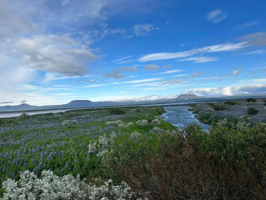 ATV guided trip close to dettifoss iceland - How the private group changes the experience