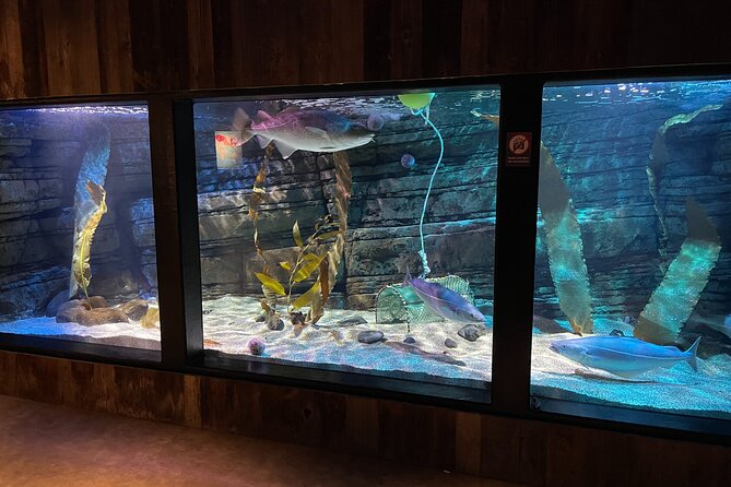Beluga and Puffin Sanctuary Visitor Centre with Aquarium - Who should book the sanctuary
