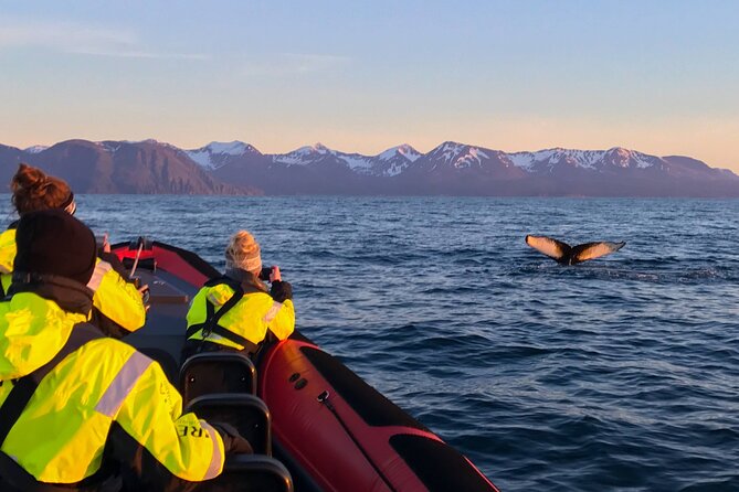 Big Whales & Puffins RIB boat tour from Húsavík - Cold, spray, and rough water: what to wear