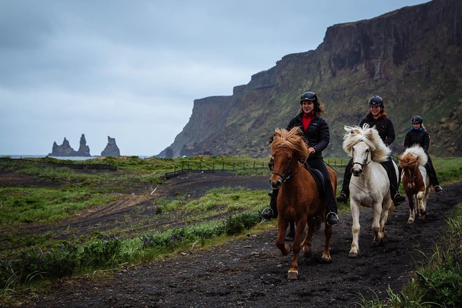 Black Sand Beach Horse Riding Tour from Vik - Why this ride fits so well into a Vik visit