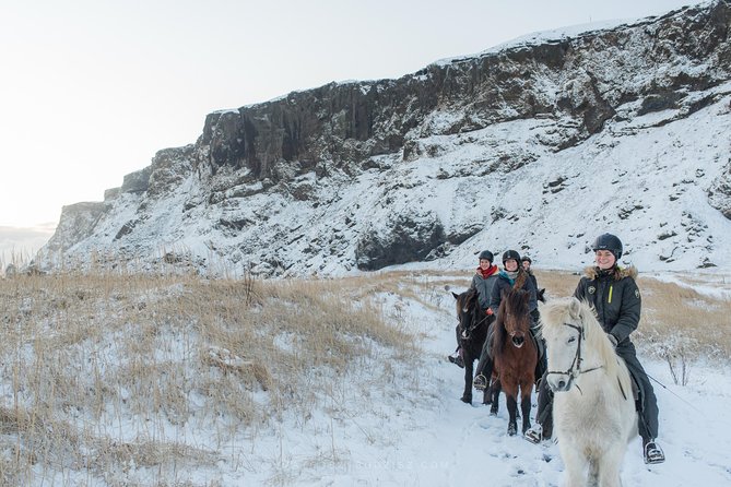 Black Sand Beach Horse Riding Tour from Vik - What the beach stop is really like