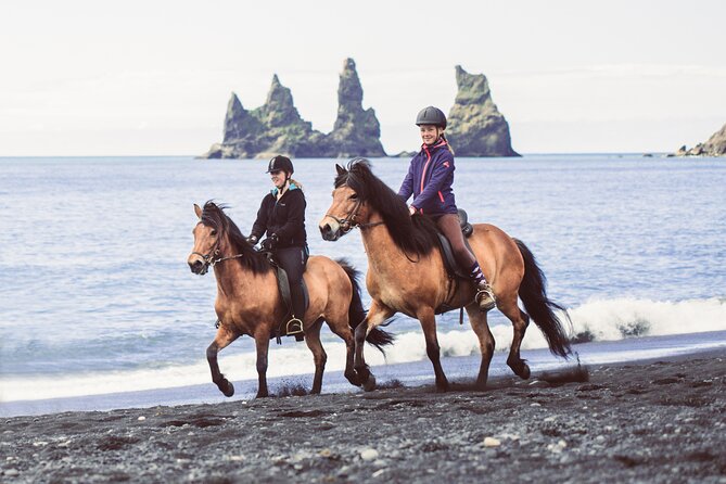 Black Sand Beach Horse Riding Tour from Vik - Returning to the stable and meeting the horses