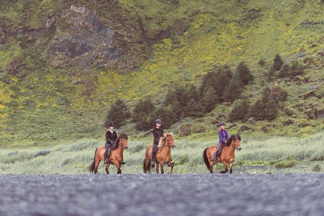 Black Sand Beach Horse Riding Tour from Vik - How it works for experienced riders
