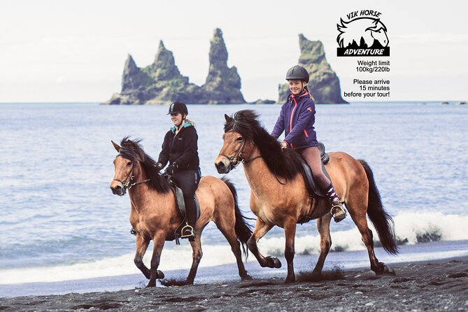 Black Sand Beach Horse Riding Tour from Vik - Arriving at the stable near Víkurfjara