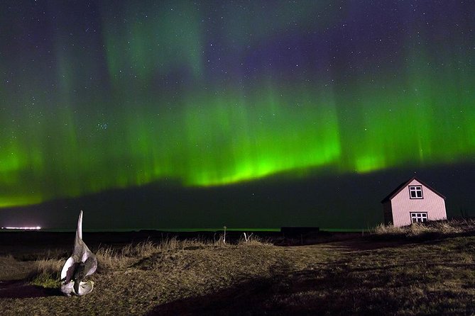 Blue Lagoon and Northern Lights Tour Including Admission - What worked best, and what did not