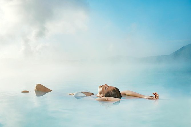Blue Lagoon and Northern Lights Tour Including Admission - Who should book this day?